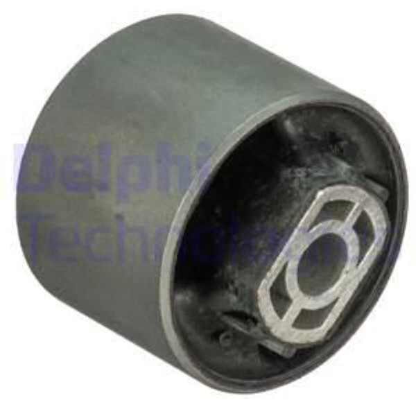 Delphi Querlenkerlager Lenker Hinten Links Rechts FüR VW Golf VI V TD975W-image