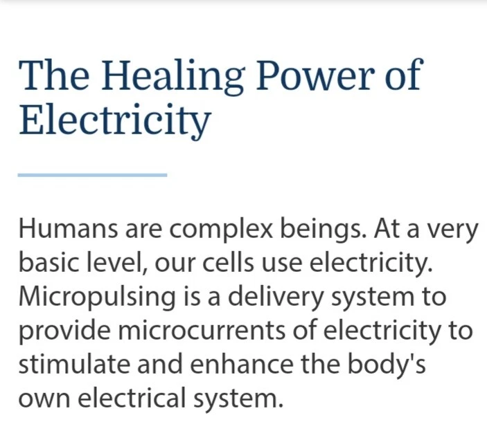 Zapper Bob Beck Zapper, purificador de sangre. - Hecho en Panamá Foto 2 de 4