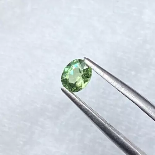 TSAVORITE GARNET, 0.69 CTS, OVAL 5.5 X 4.8 X 3.4 MM, LITTLE BEAUTY - Picture 1 of 5
