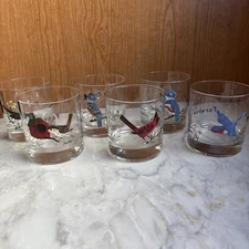 (6) Vtg Hand Painted Low Ball Old Fashioned Rock Glasses Birds Flowers Unique!