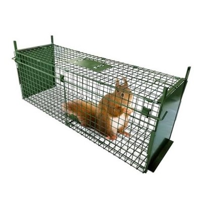 Animal Cage Trap (31'' L x 10'' W x 11'' H) Humane Live Cage Trap Double 31 Inch