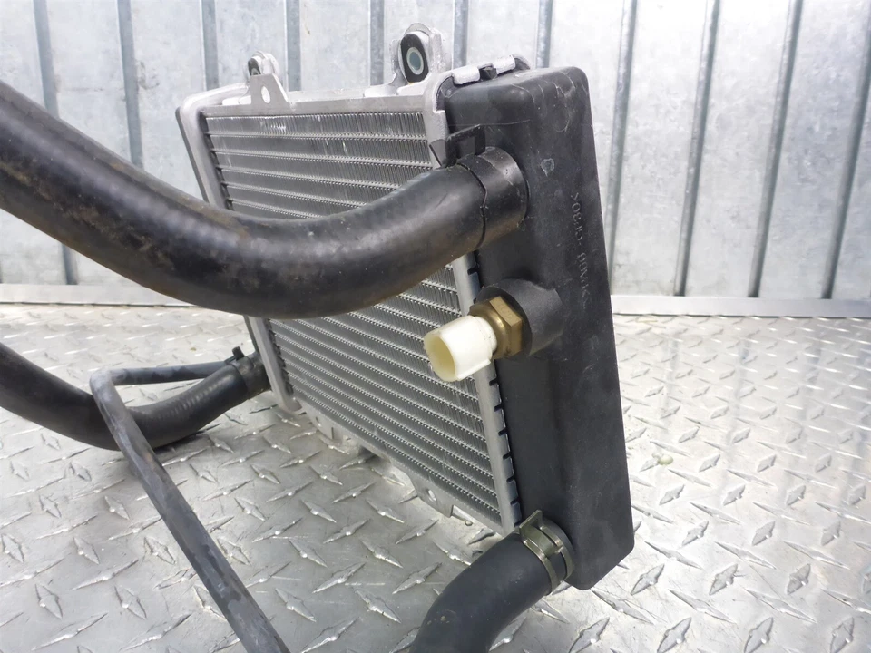 09 Hyosung MS3 250 Radiador Refrigerante Manguera Líneas Sensor de Temperatura Foto 4 de 4