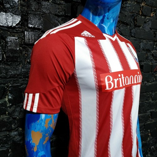 Stoke City Jersey Home football shirt 2010-2011 Adidas P46709 Trikot Mens SZ S - Picture 5 of 11