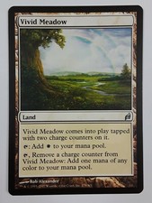 Vivid Meadow Lorwyn Magic the Gathering MTG x1 