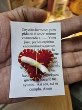 AMULETO COLMILLO DE COYOTE PARA ATRAER EL AMOR Y REGRESAR A TU SER AMADO INSTRUC