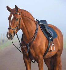 Horseware Micklem Martingale 3-Punkt ergonomische elastische Leder Brustplatte