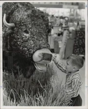 1965 Press Photo Randy Hanscom admires buffalo "moe" toy at Post Oak Store