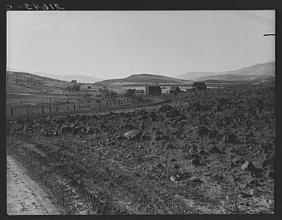 Idaho,Gem County,Ola Sawmill,Farm Security Administration,FSA,Dorothea Lange,6