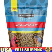 Mealworms, Bluebird and Wild Bird Food, 2 lb. Bag, 1 Pack, Dry