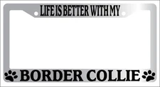 Chrome METAL License Plate Frame LIFE IS BETTER WITH MY BORDER COLLIE 296