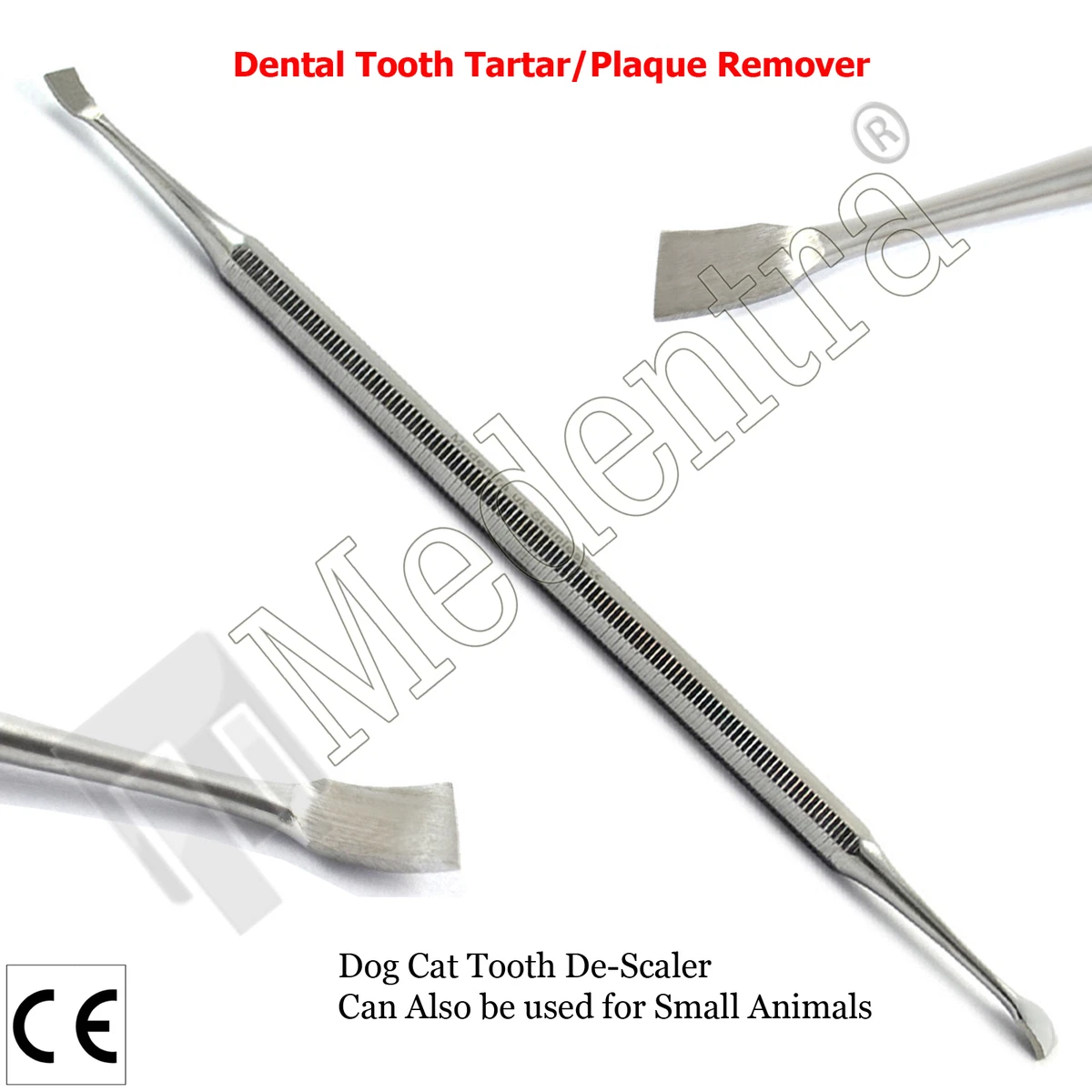Dog plaque remover tool cheap