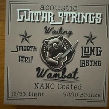 Acoustic Guitar Strings Light