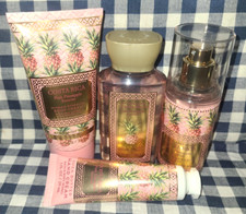 4 Piece ALL NEW Pink Pineapple Sunrise TRAVEL Set Bath  Body Works