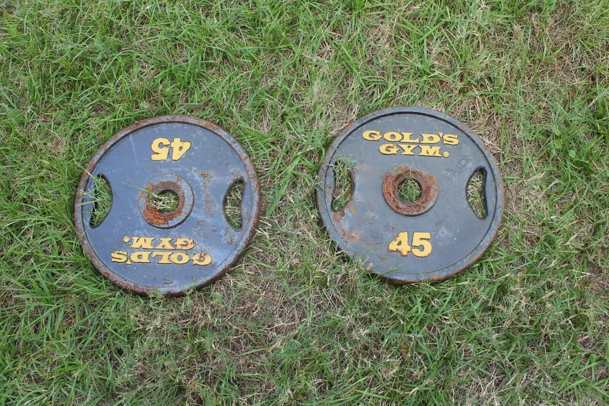 Golds gym weight plates new arrivals