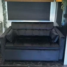 55 inch Velvet Sleeper Sofa Bed-2-Seater Pull-Out Folding Couch for Small Spaces
