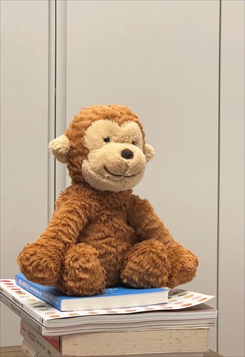 Jellycat Medium Fuddlewuddle Monkey Branded Soft Toy New with Tags - Picture 3 of 11