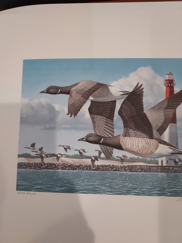 New Jersey State Duck Stamp Print 1991 SET 2 Brant BRANDT Error W/ 2 Replacemen - Picture 17 of 24