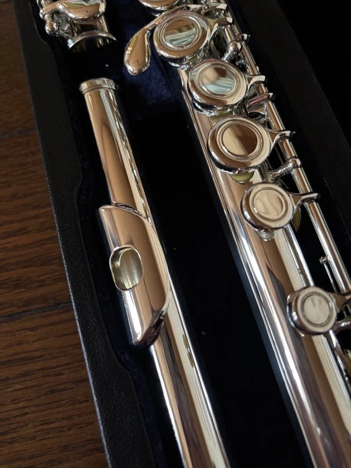 Eastman EFL210SE посеребренная флейта б/у - отличное состояние товара - Изображение 2 из 4