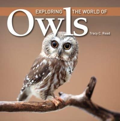 Exploring the World of Owls Paperback Tracy C. Read