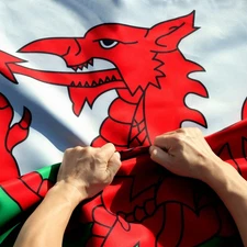 Anley Rip-Proof Double Sided 3-Ply Wales Flag 3x5 Ft Welsh National Flag 3X5 Ft