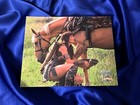 Ultra Rare Xena Premiere Photo Club November 2005 "Argo" Picture #3