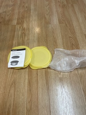 New Tupperware Flatout Containers Lot Of 2 FREE SHIPPING
