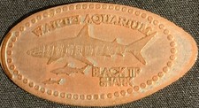 RETIRED! BLACK TIP SHARK - WAIKIKI AQUARIUM HONOLULU HAWAII PRESSED PENNY