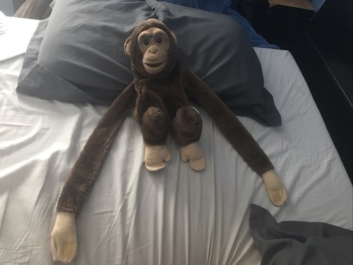 VTG Murlar Wholesale Chimpanzee Realistic Monkey Hand Puppet Wrap Around Arms