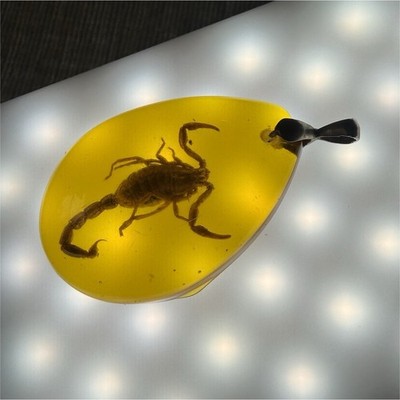 Yellow amber  Teardrop Scorpion Pendant Necklace Animal Insect Amulet silver925