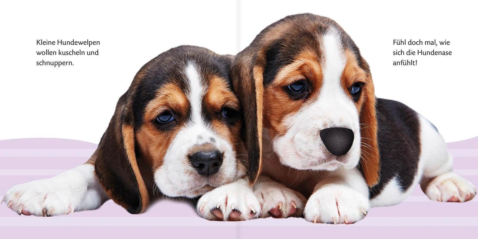 Thumbnail - Kennst Du Das? Mein Fühlbuch Hundebabys | Ab 12 Monaten | Amy Oliver