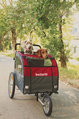 bellelli jogging kit