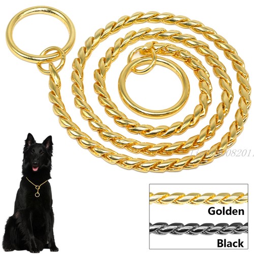 Gold Snake Chain Dog Collar PChoke/Check Slip Show Necklace Training