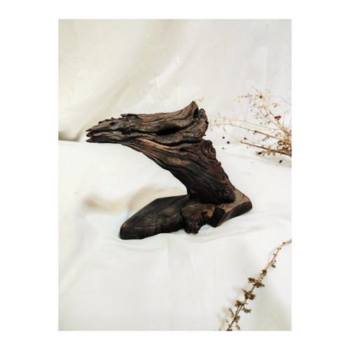 Scultura Organica Naturale Legno Vite Puglia Legno Ulivo Casa Aquila Arredo