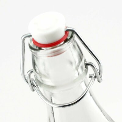 Bormioli Rocco 8.5oz Swing Top Glass Bottles - 12-Pack - Clear Italian Glass