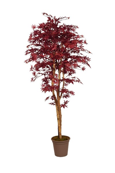 artplants KüNstlicher Japanischer Ahorn Gordjuscha, Dunkelrot, 350Cm-image