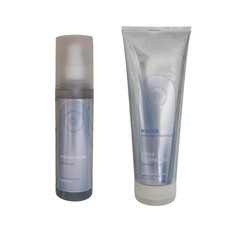 Bath  Body Works Water Winter Mint Moisturizing Body Wash 10 oz  Perfume Mist