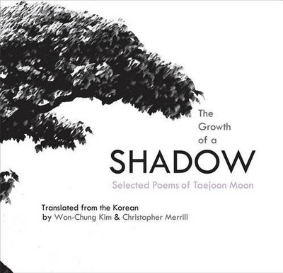 Taejoon Moon The Growth of a Shadow (Paperback)