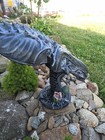 Picture 10 of 24