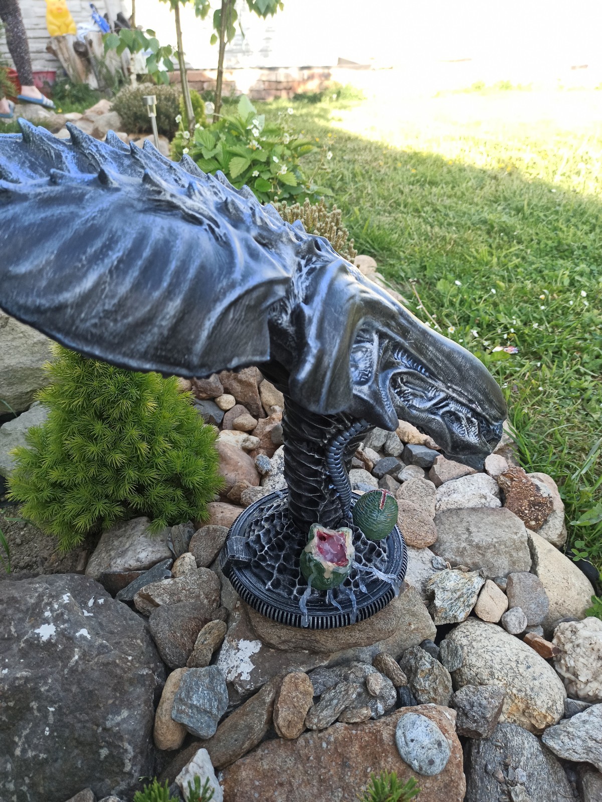 Picture 10 of 24