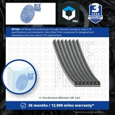 7 Rib Multi V Drive Belt fits HONDA CIVIC FN2 TypeR 2.0 06 to 12 K20Z4 Quality