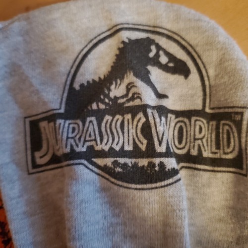 Jurassic World T-rex Childs Pullover Hoodie Small Free Ship U.s. - Picture 3 of 3