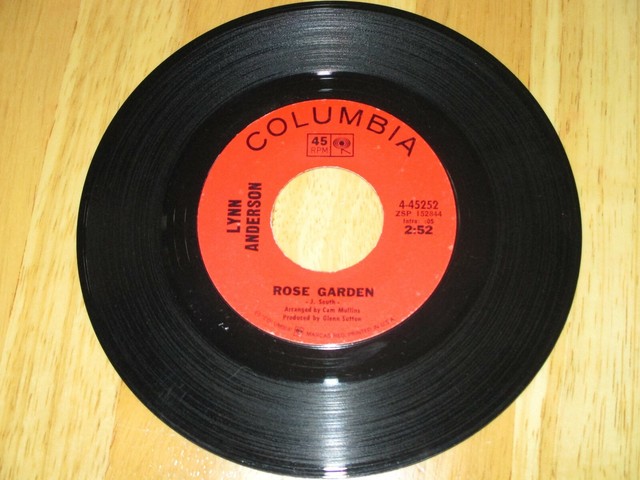 Rose A Summary You Promised Never I Garden