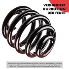 Bild 5 von 10