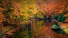 Landscape nature boat trees house fall leaves plants Custom Gaming Mat Desk