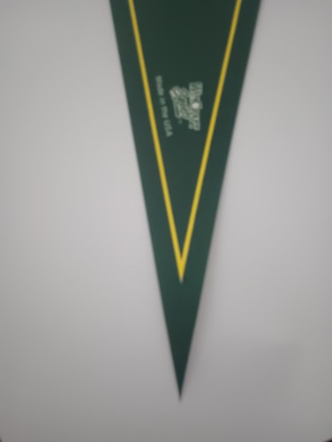 Wincraft University of Oregon Ducks 12"x30" Pennant College Decor NCAA NEW - Picture 2 of 3