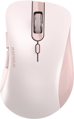 RAPIQUE Bluetooth Wireless Mouse - Dual Bluetooth & 2.4 GHz USB Receiver, Ergono