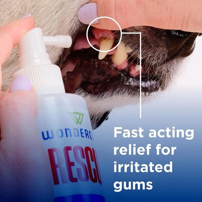 Oral Spray Dogs & Cats Breath & Gum Care 8.5oz with Pure Hypochlorous   8.5 Oz