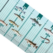 Fischlineal Fischmaßband Abhakmatte Fischma�...