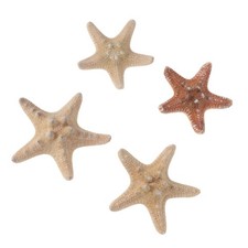 4 Pcs Beach Decorbeach under The Sea Decorations Party Supplies for