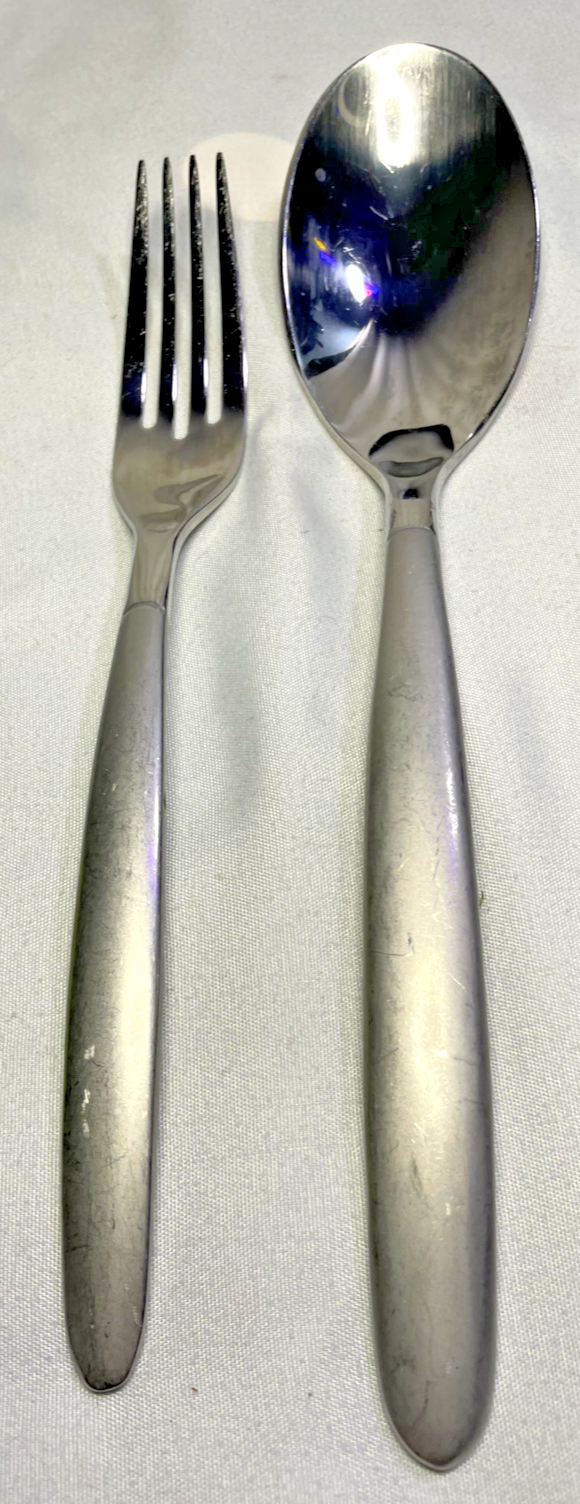 Fork and Spoon Oneida USA Frosted Serena Flatware Silverware Plain